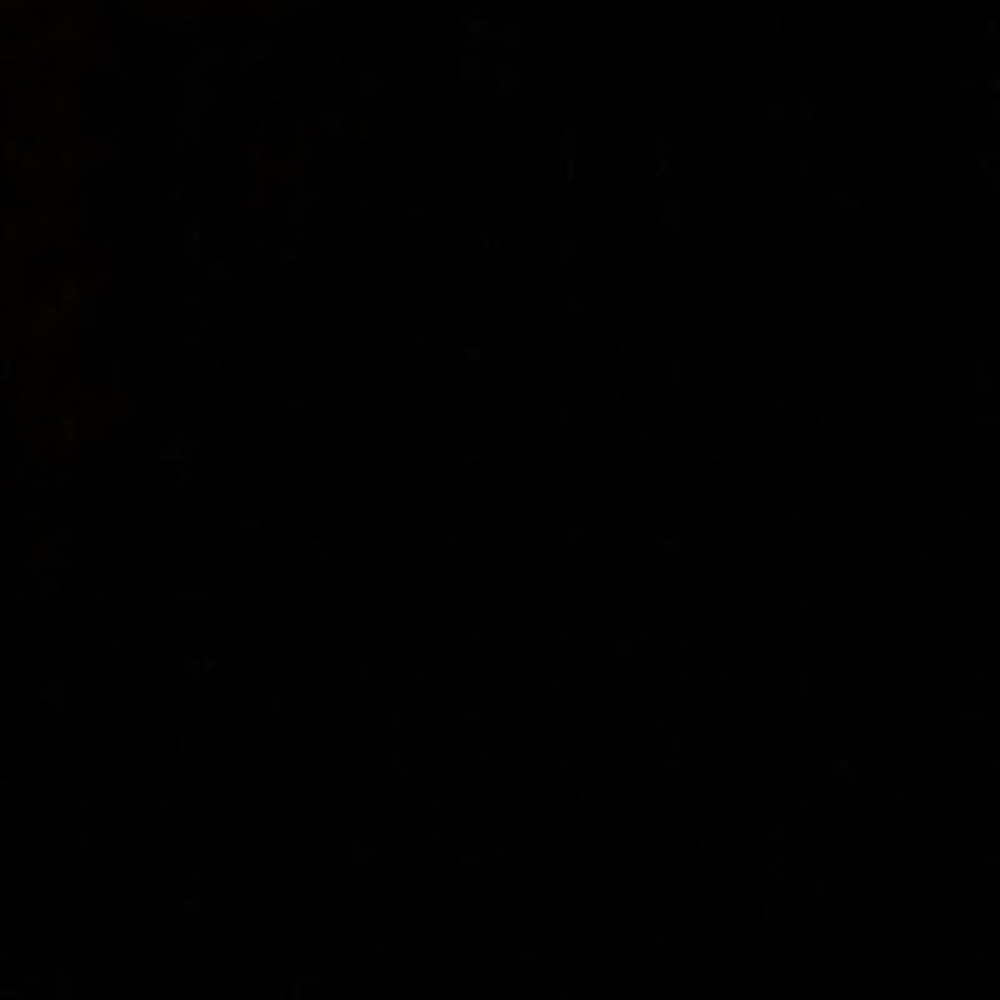 Meet your Posher, Big